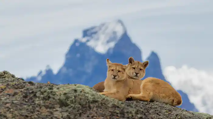 パタゴニア～山嶺のフロンティア〜