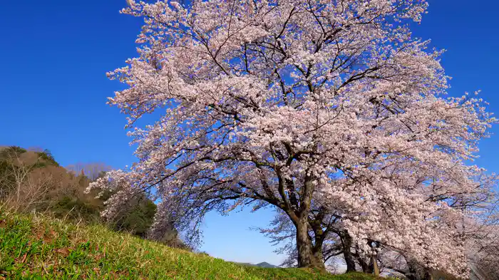 15 Minute Relaxation-Beautiful Piano-【RELAX WORLD】