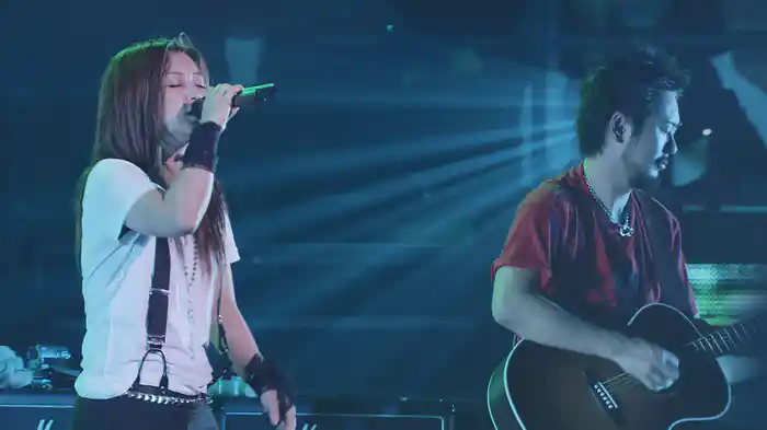 Do As Infinity -Final-