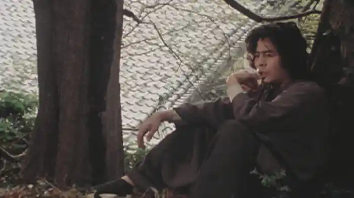 横溝正史シリーズ 本陣殺人事件