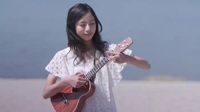 ゼッタイ弾ける!ソロ・ウクレレ超入門