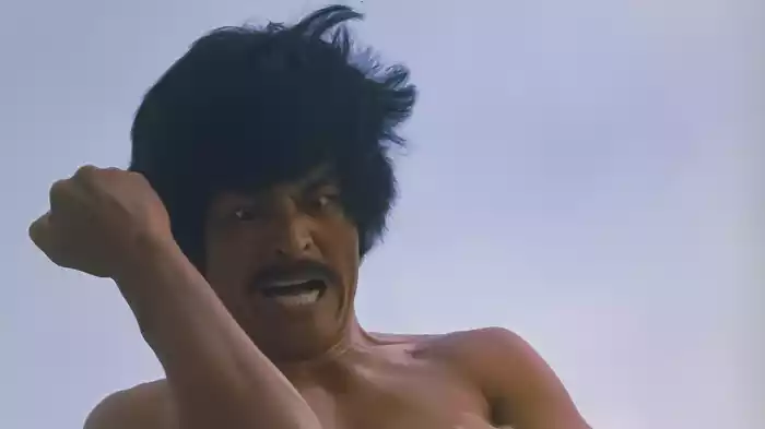 ザ・カラテ