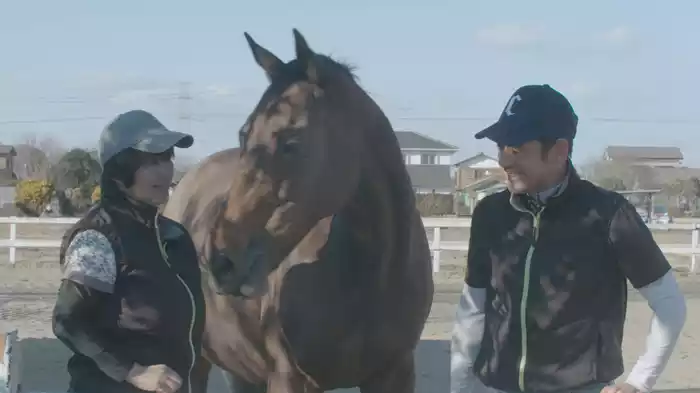 今日もどこかで馬は生まれる