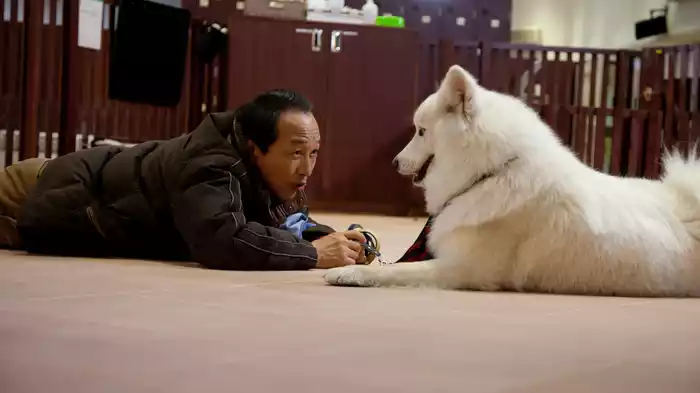 映画版　犬飼さんちの犬