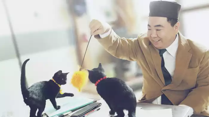 映画版　くろねこルーシー