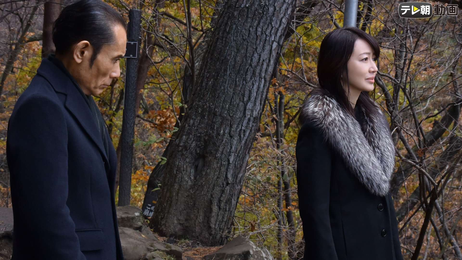 森村誠一ミステリースペシャル 終着駅シリーズ36 雪の螢 年1月9日放送 の動画視聴 あらすじ U Next 森村誠一ミステリースペシャル 終着駅シリーズ36 雪の螢 年1月9日放送 の動画視聴 あらすじ U Next