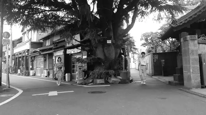 ショコラ記憶珠