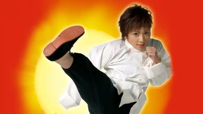 燃えよカンフーガール