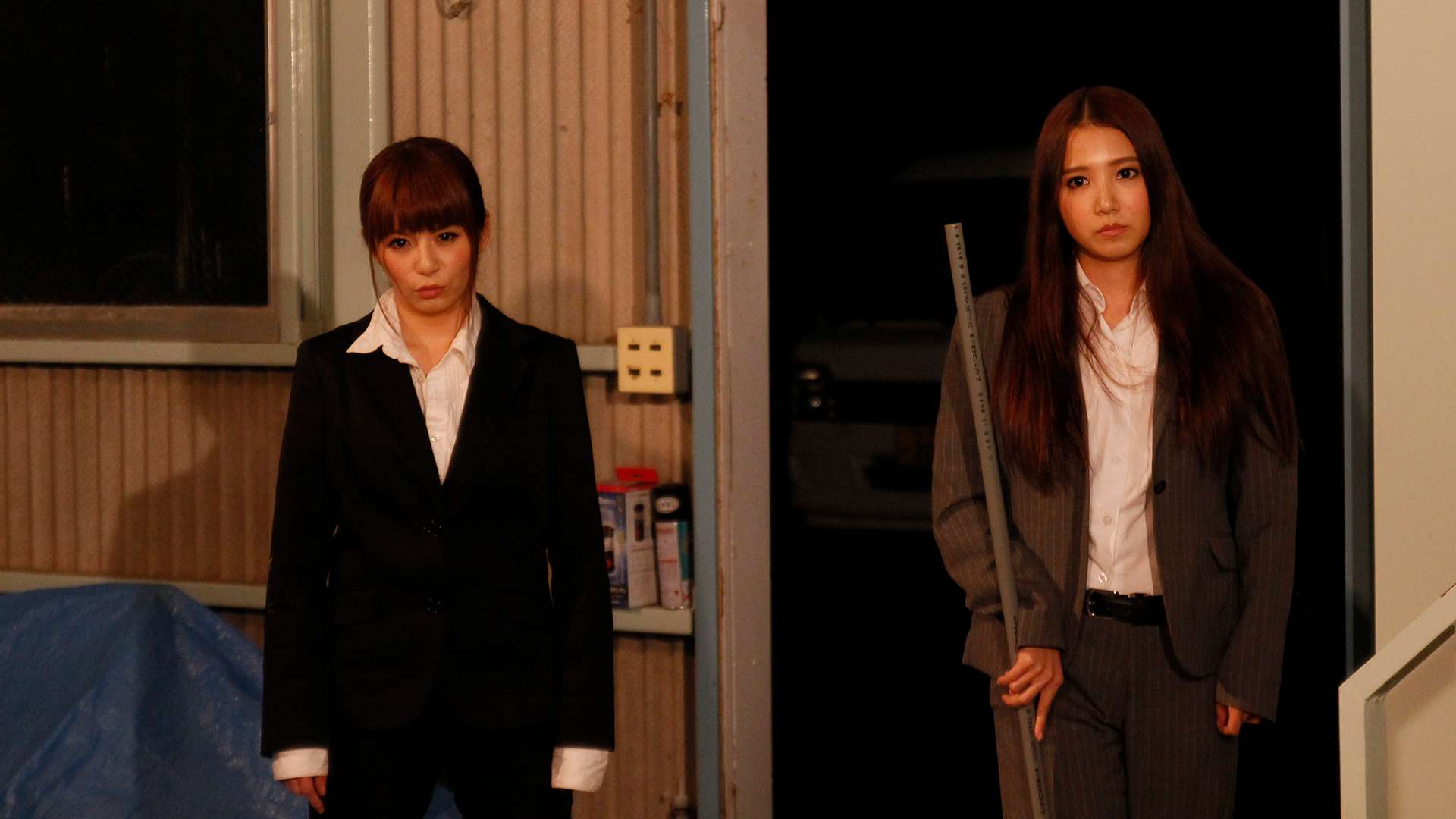 あぶない女刑事の動画視聴 あらすじ U Next あぶない女刑事の動画視聴 あらすじ U Next