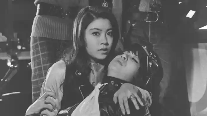 ずべ公番長 はまぐれ数え唄