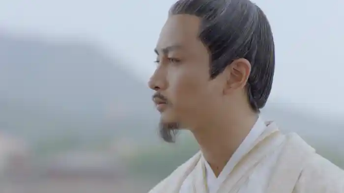 独孤皇后～乱世に咲く花～