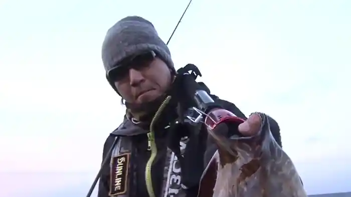 モンスターアオリ 山田ヒロヒト in屋久島(鹿児島県)