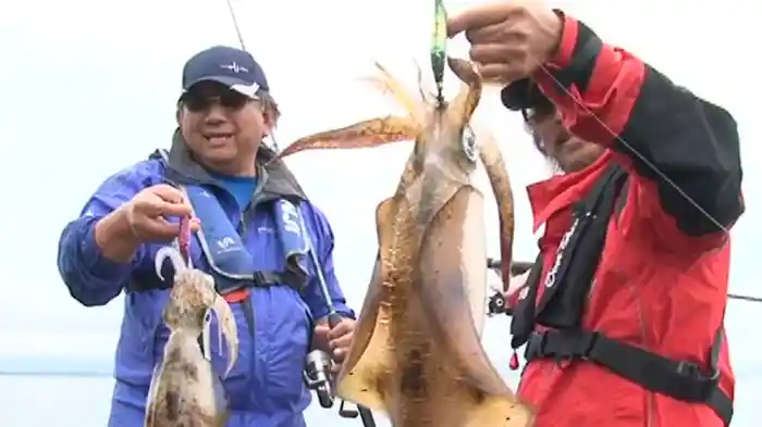中層の流れはスレ知らず!アオリイカパラダイス!! in出雲(島根県)