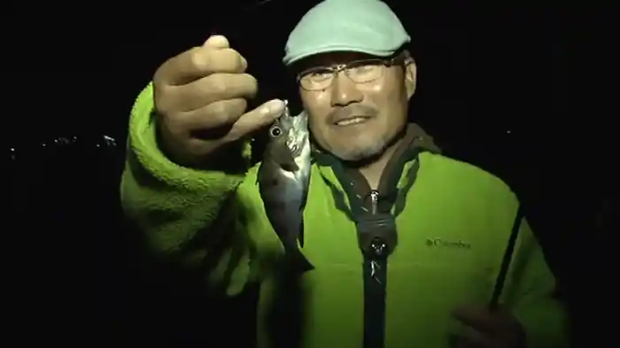 メバル&アジ 完全釣り分け術 家邊克己 in岩国周辺(山口県)