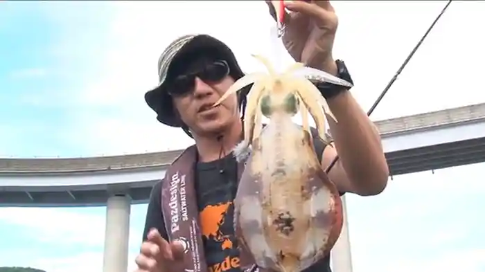 エギング百番勝負 in串本(和歌山県)