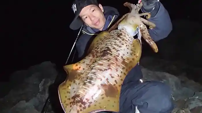 ホームの核心 SHACRAZY 出るか!? 3kgオーバー!!