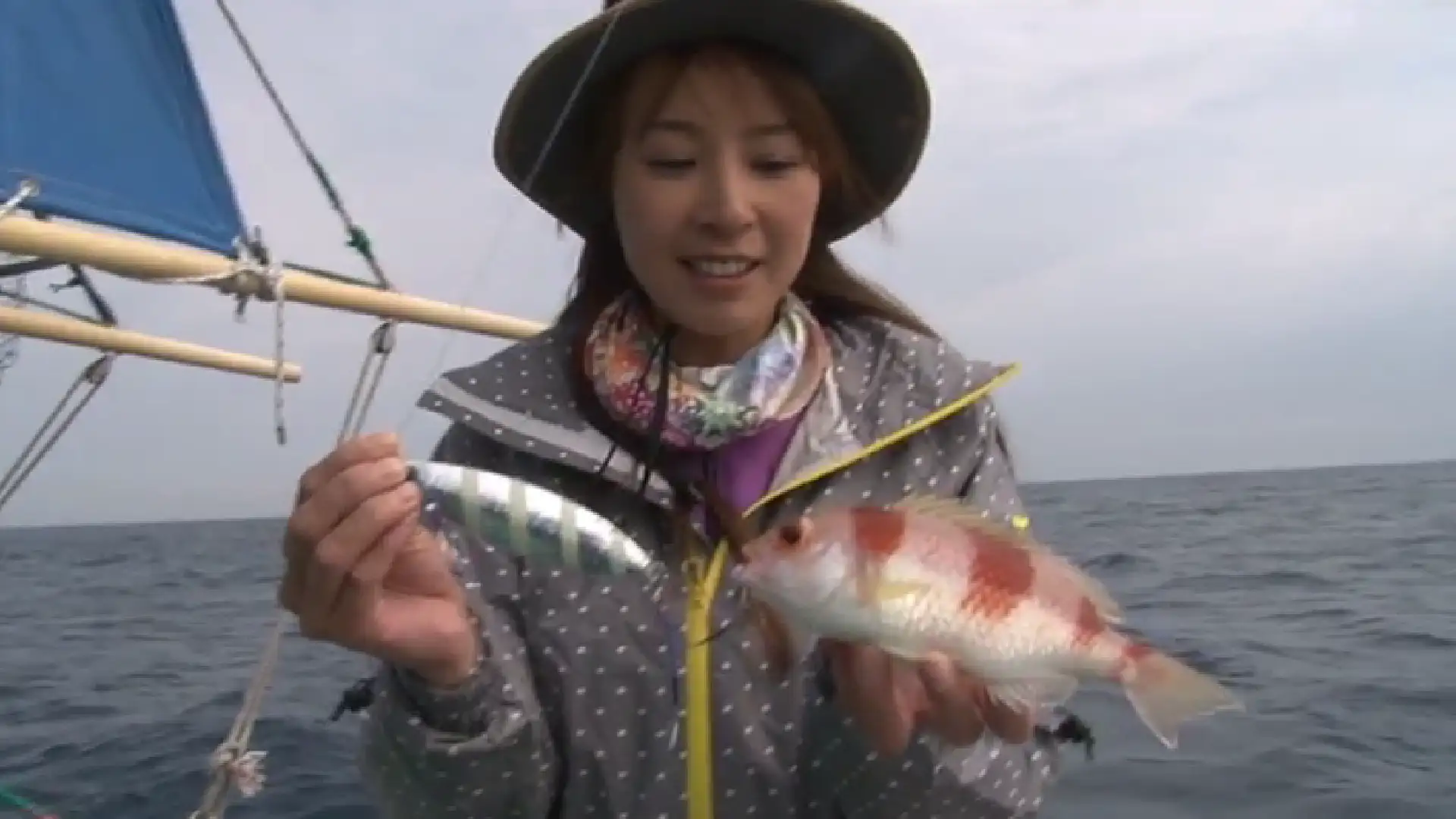 日本100魚種制覇の旅 児島玲子 In駿河湾 バラエティ 13 動画配信 U Next 31日間無料トライアル 日本100魚種制覇の旅 児島玲子 In駿河湾 バラエティ 13 動画配信 U Next 31日間無料トライアル