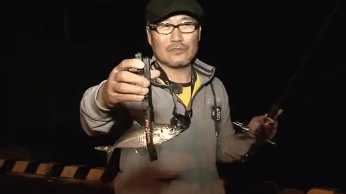 東西熱釣 アジング夜戦!