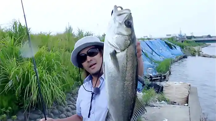 アウェイの洗礼 大野ゆうき in石川県全域