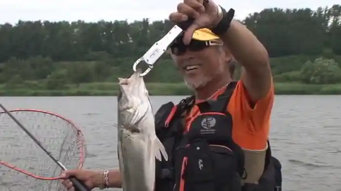 ワシにも釣らせんかい!シーバス編 雄物川(秋田県)