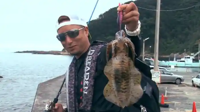 アウェイの洗礼 エギング版 湯川マサタカ in伊豆半島（静岡県）