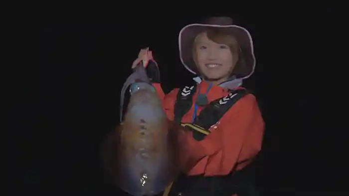 Let's みっぴ&ヤマラッピのモンスターハント!