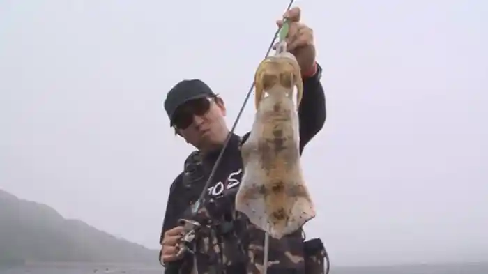 山田ヒロヒト&川上英佑 夏イカ大釣行 in壱岐島