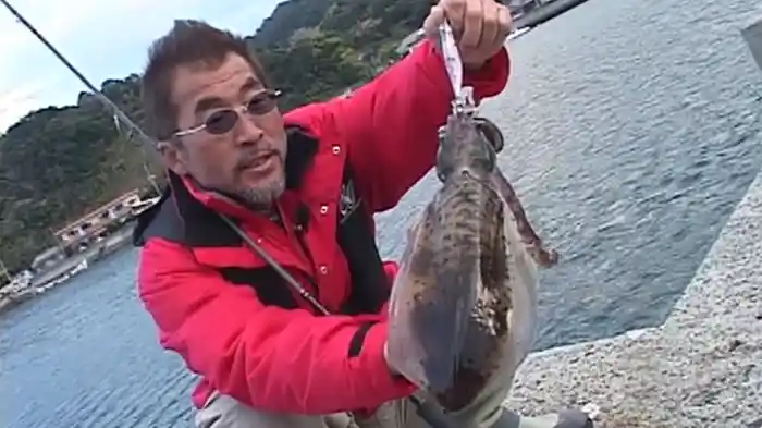 エギング王vol.3 エギングパラダイス釣行