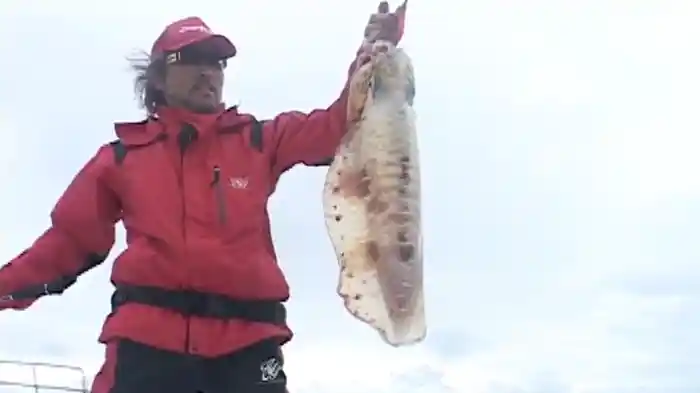 エギング王vol.7 モンスターアオリイカエギング in宮古島