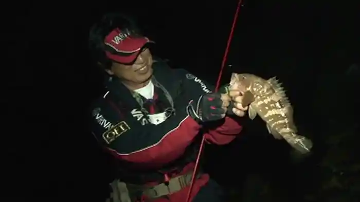 メバル×アジング王子　ライトゲームベーシック2013