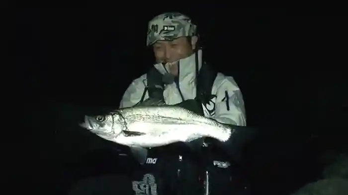 シーバス王vol.6　FISH the MOMENT～シーバス遠征釣行記～