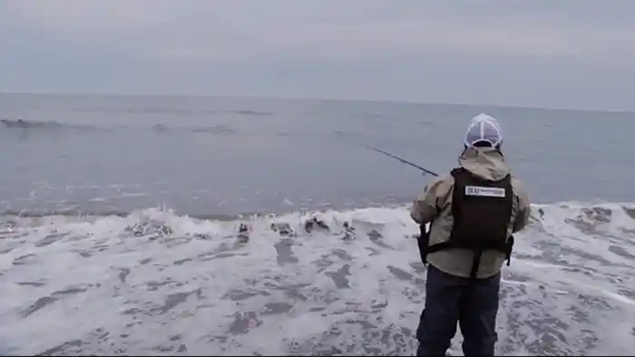 ヒラメ王 ヒラメが動きだす 時合いを狙え!