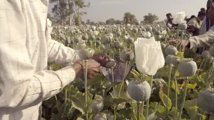 巨大製薬会社の陰謀 / THE CRIME OF THE CENTURY