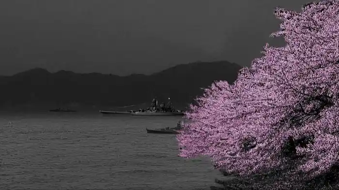 戦艦大和の最期 乗組員八杉康夫の証言