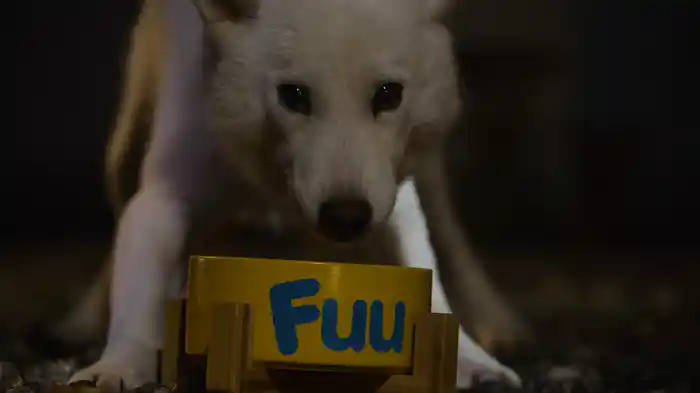 今宵もかろうじて歌い切る