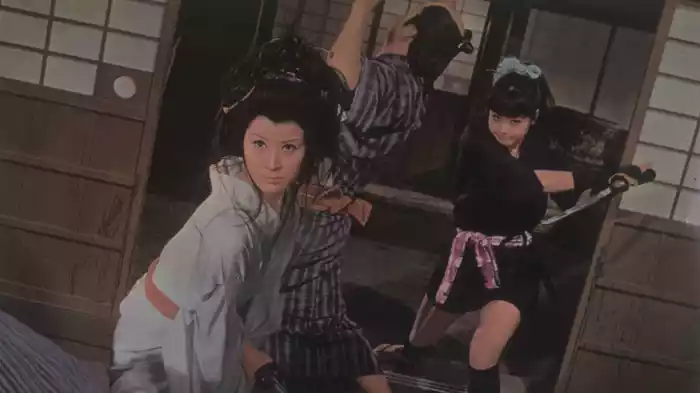 妖艶毒婦伝 人斬りお勝