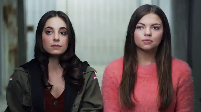 シスターズ　異常な愛情