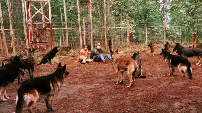 ファイナル・デッド