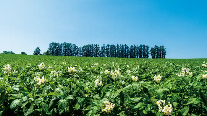 彩（IRODORI）にっぽん 4K HDR紀行 Vol.1【4K･HDR】