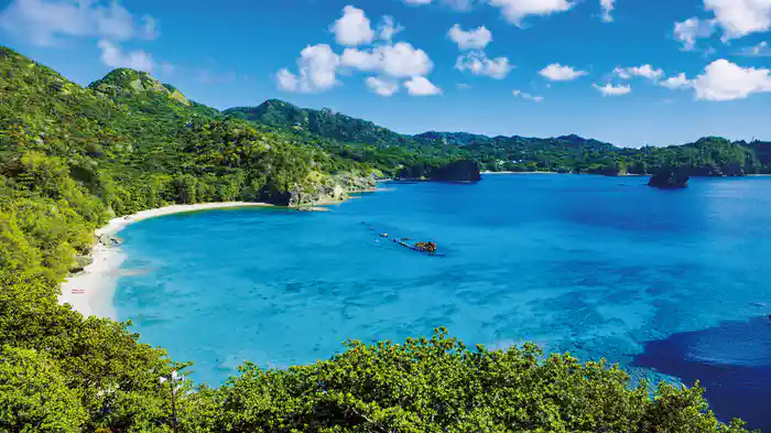 世界自然遺産 小笠原 ~ボニンブルーの海~【4K・HDR】