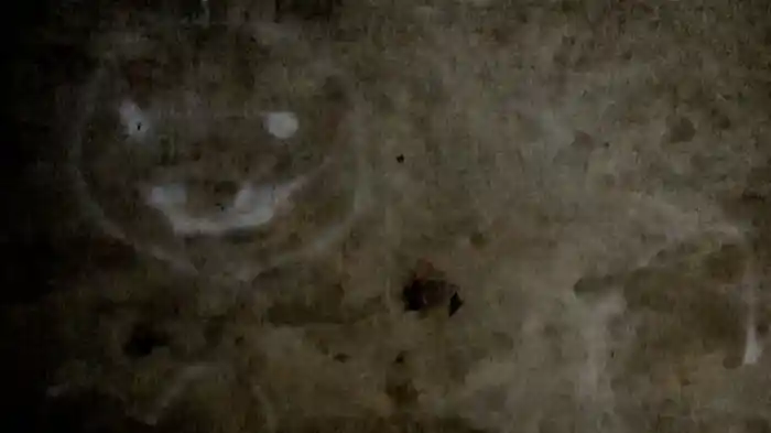 逢魔時 - 姿無き者が其の存在を現す時 - 其之一　覗き見る者