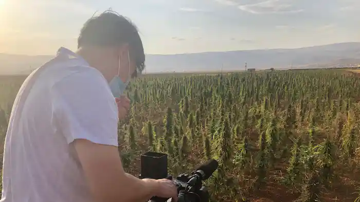 大麻と金と宗教~レバノンの“ドラッグ王”を追う~