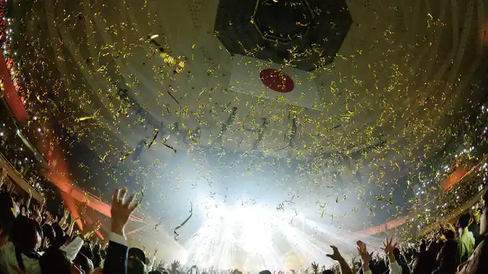 Nulbarich ONE MAN LIVE at NIPPON BUDOKAN-The Party is Over-