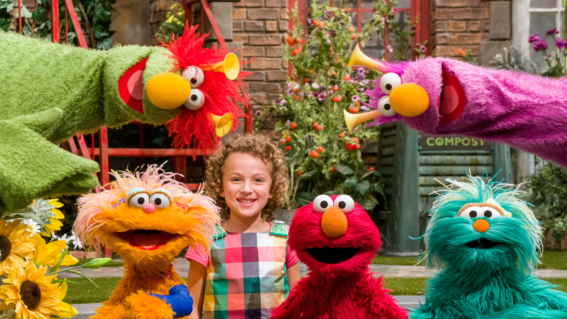 セサミストリート シーズン50