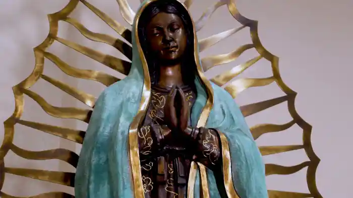 ザ・未確認スペシャル 証拠はそこにある!