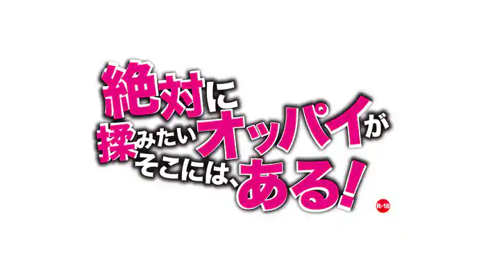 絶対に揉みたいオッパイがそこには、ある！