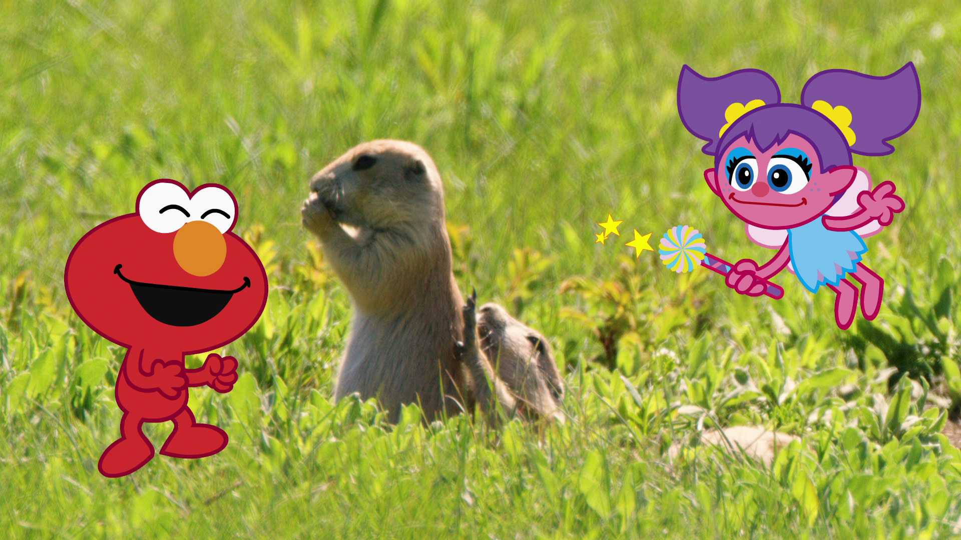 どうぶつダンス