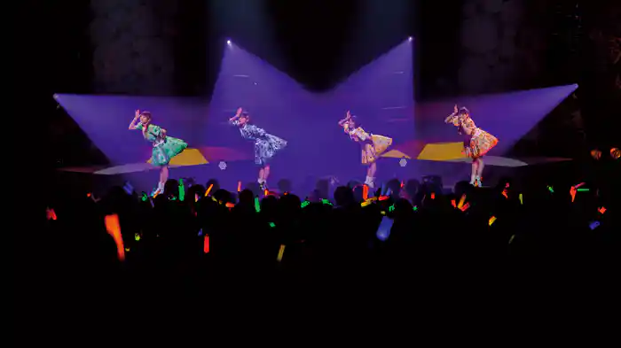 カントリー・ガールズ ライブ2019 ～愛おしくってごめんね～