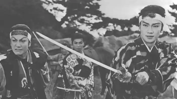 神州天馬侠　完結篇