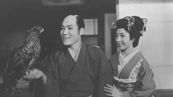 朝晴れ鷹